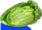 cabbge