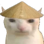 chinacat