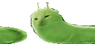 glorming