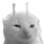 nlorp