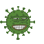 pepovirus