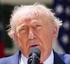 witheredtrump