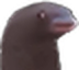 wwwwait