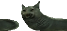 xddworming